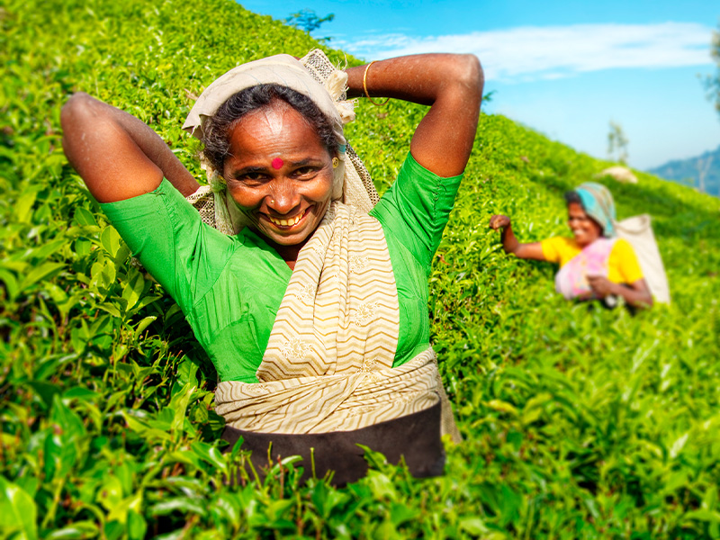 ENSTIE FOODS team with a local farmer